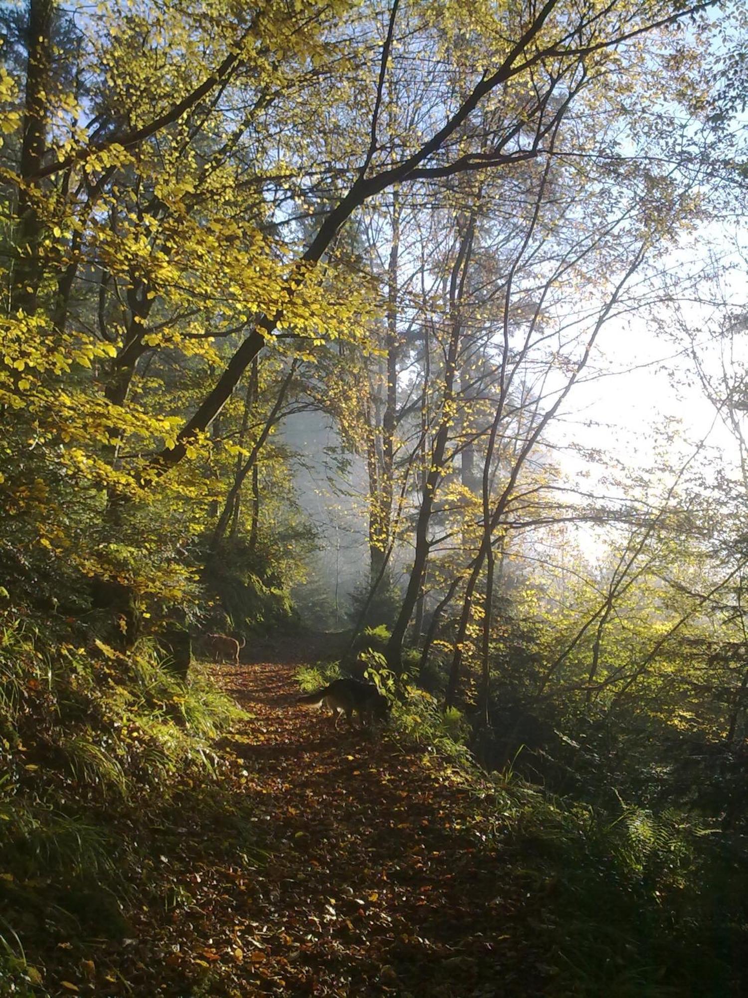 La Rubanerie 3*